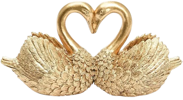 A pair of swans forming a heart